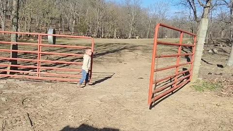 Double Swing Gates: Every Farm Kid's Worst Enemy