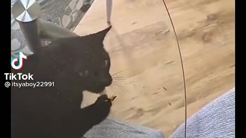 almost got it