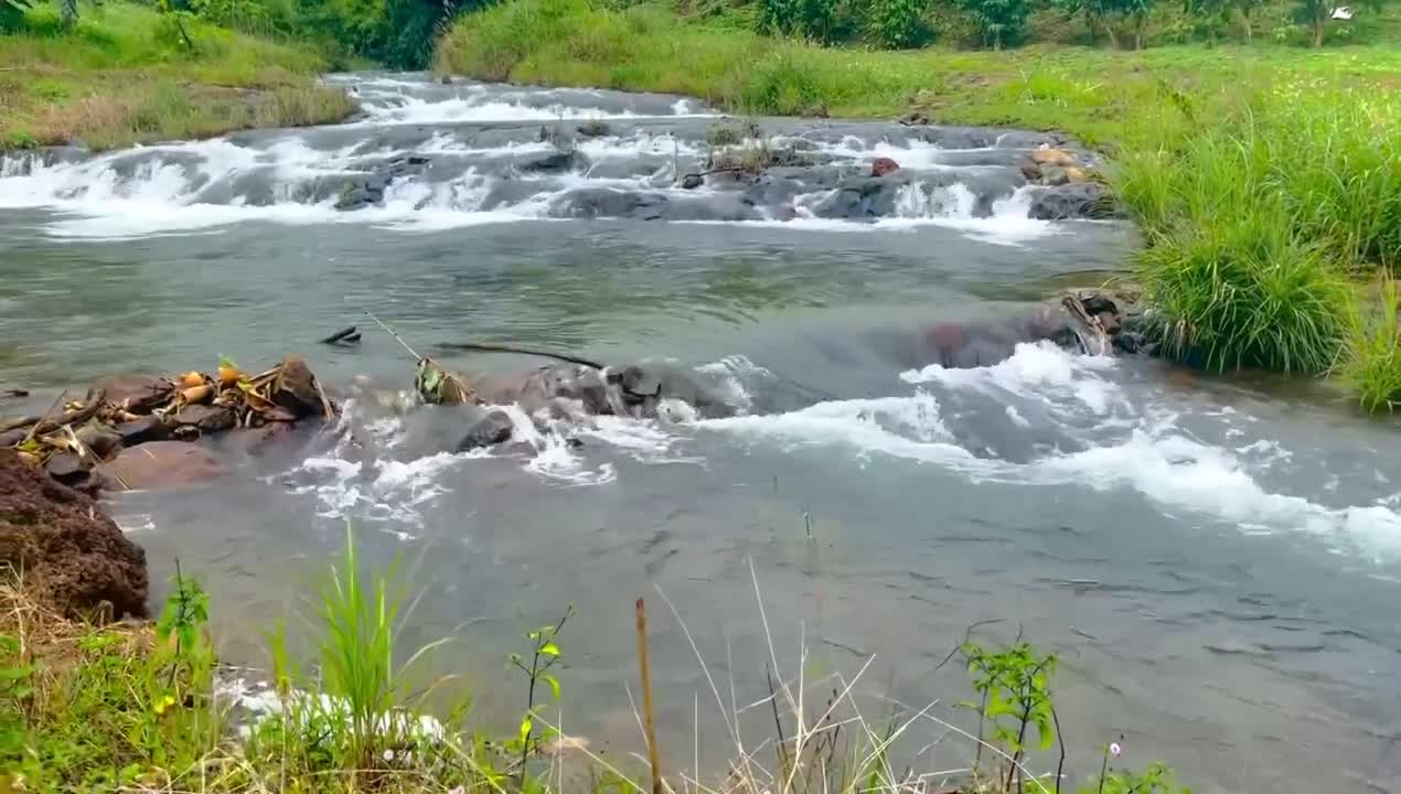 Peace by the stream