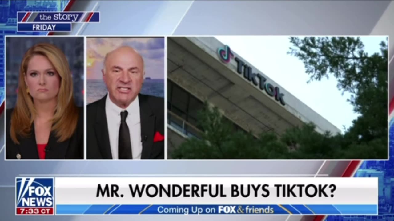 Mr. Wonderful to buy TikTok?