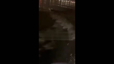 creature attacks man in the river