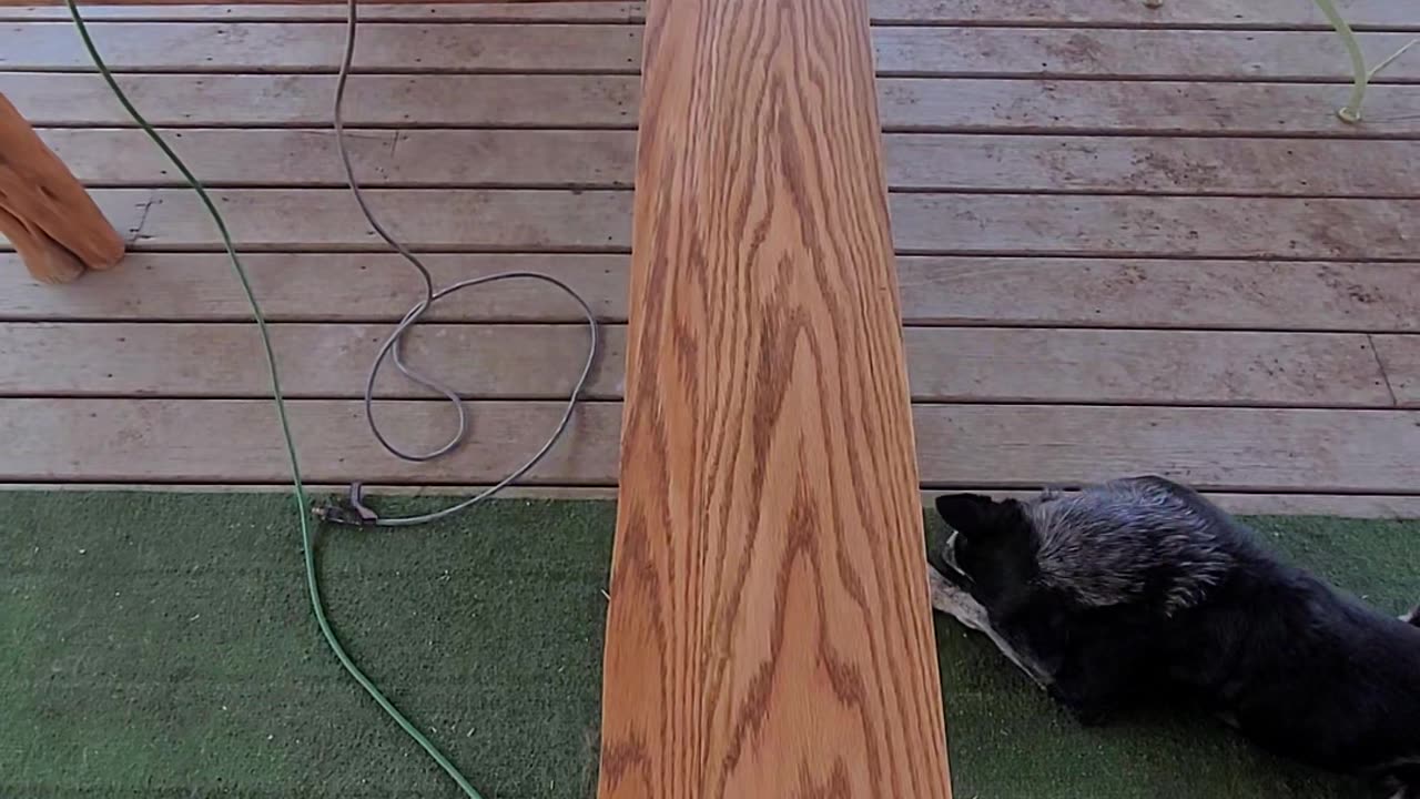 Piece of Oak