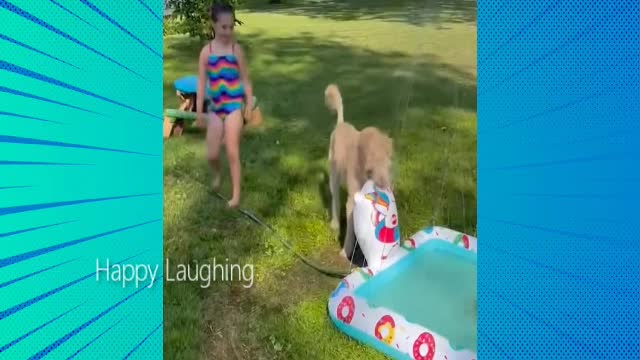 kids fun with animals | Funny videos | Happy laughing