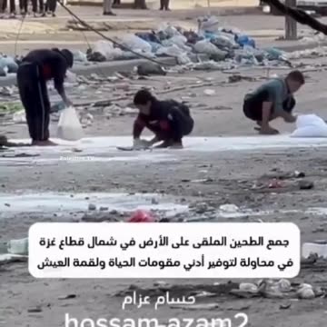 Palestinian children gather flour from the ground amid food shortage