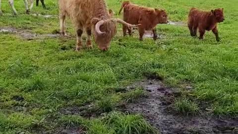 Play time in the rain!