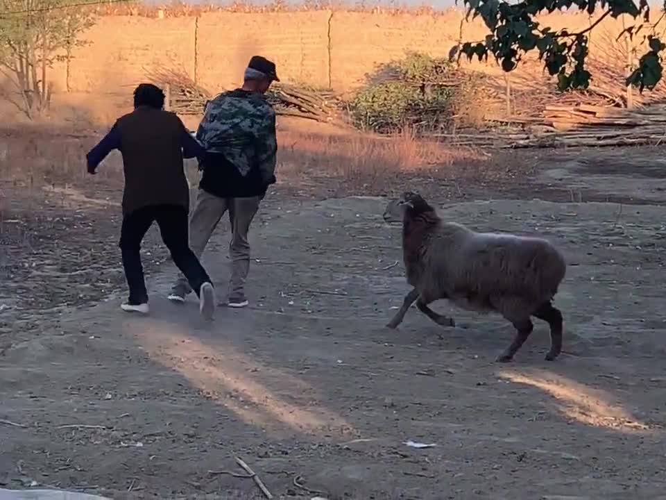 he was happy finally