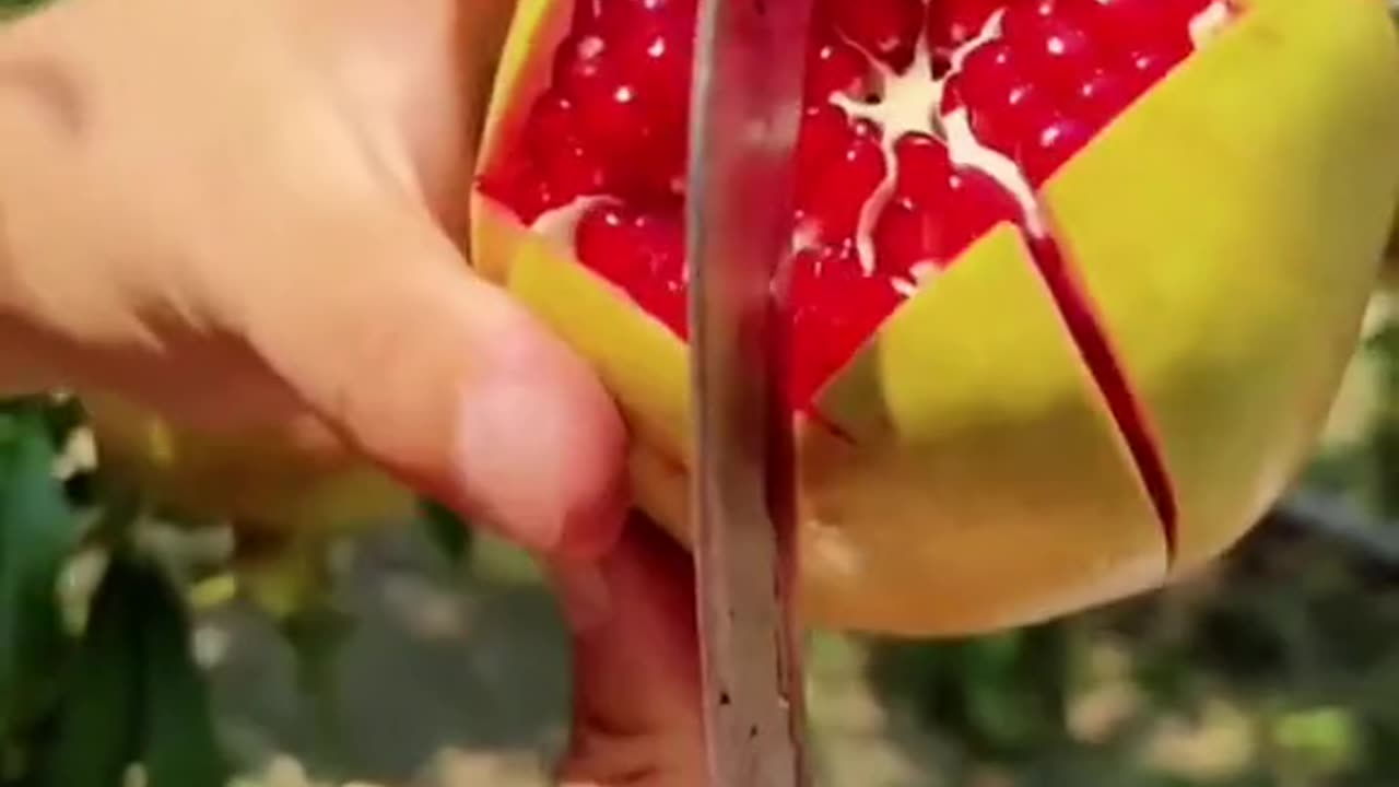 Satisfying Fruits | ASMR Fruits | Amazing Fresh Fruit | #1