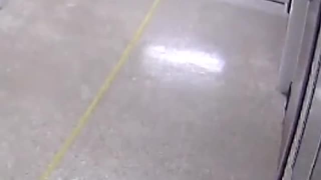 A raccoon chase went down inside the halls of thisTexas School