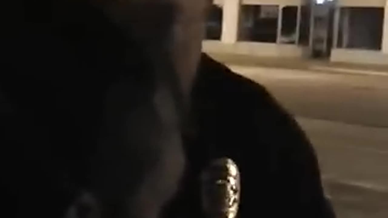 Stop Following US (the police) - Police Rage