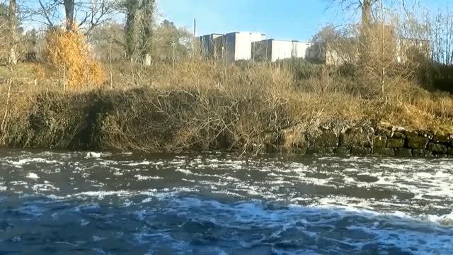 BEAUTIFUL IRELAND. RETIRN OF THE OTTERS.