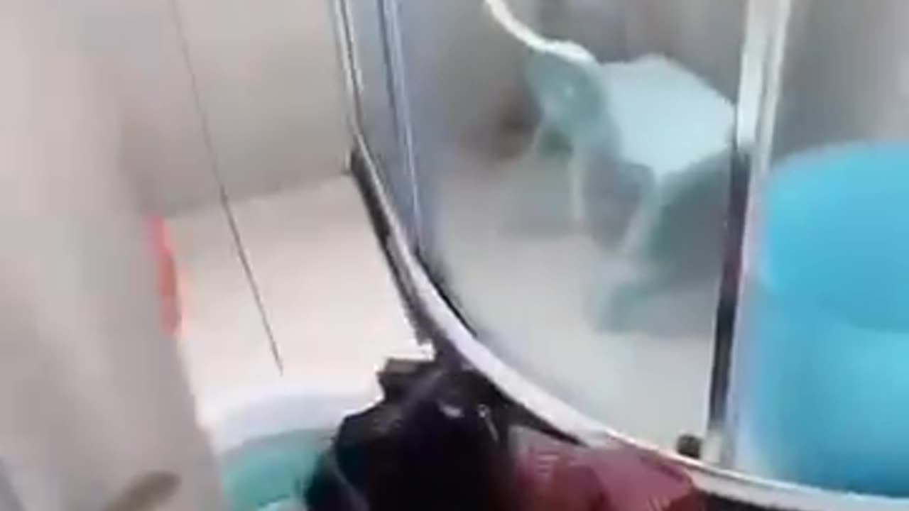 Short video