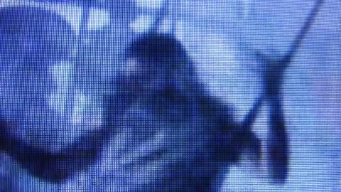 193. Demonic Mad Max Beyond Thunderdome Part 8