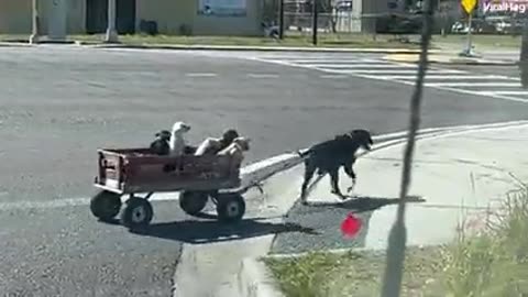 Moms really are the best