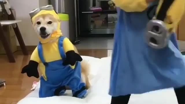 Catch a little cutie