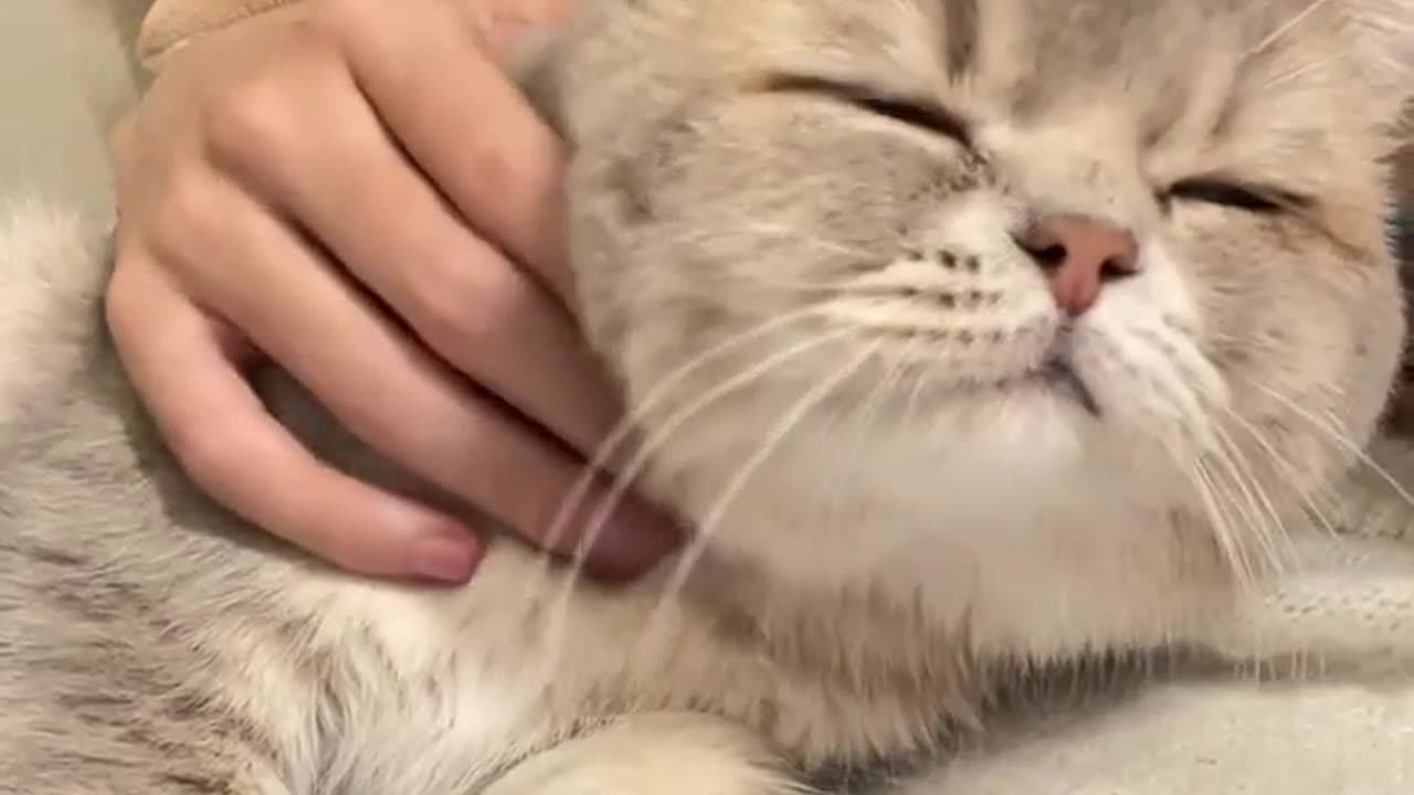 Every day before going to bed, I have to lie on my chest for a while..._Trim