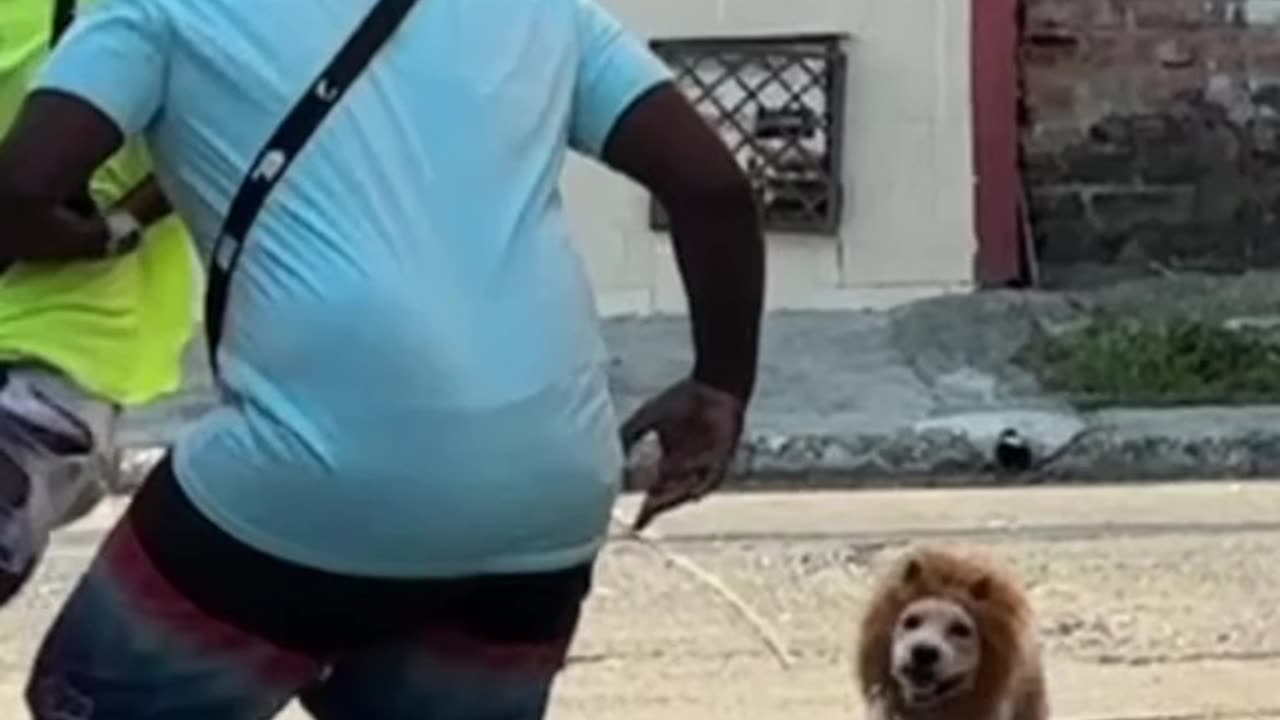 How to make your nose smaller than the kids doing well