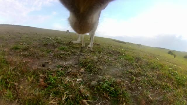 jhyu ik tyir67yugyfu irt7yuio;ghluyt