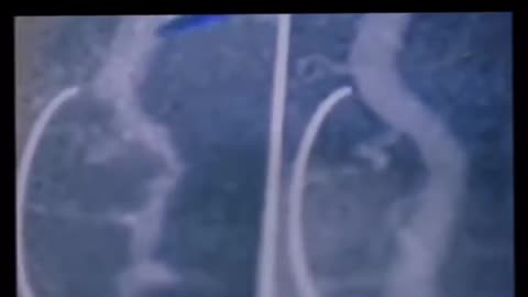 Law not to cure people