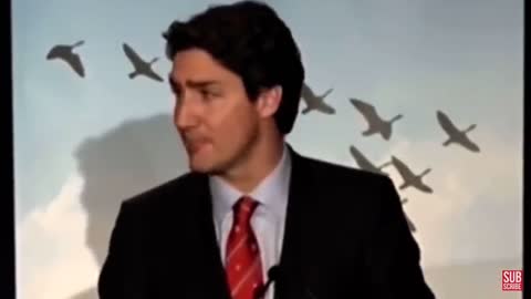 Before becoming prime minister