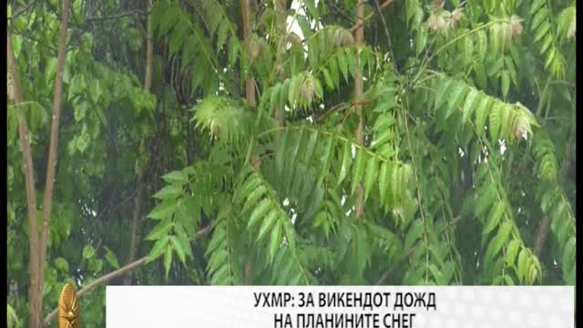 Вести ТВ Сонце 11.11.2022