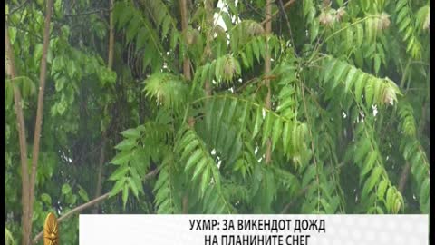 Вести ТВ Сонце 11.11.2022