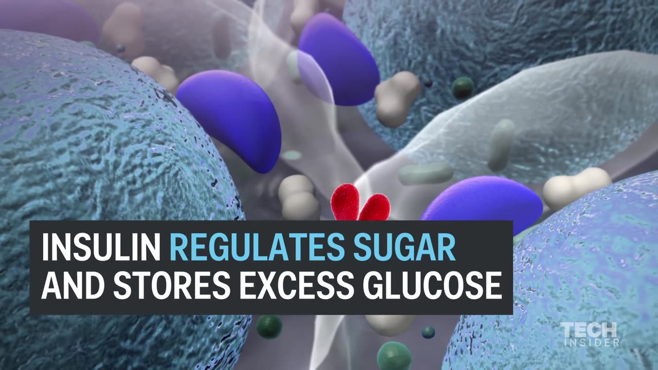 What Happens If You Stop Eating Sugar | The Human Body