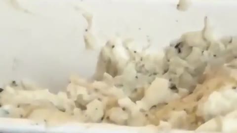 One scööp pls (ig craazyonyou)