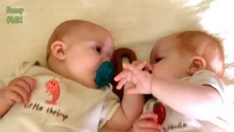 Twin Babies Fight Over Pacifier - Funny Baby Videos