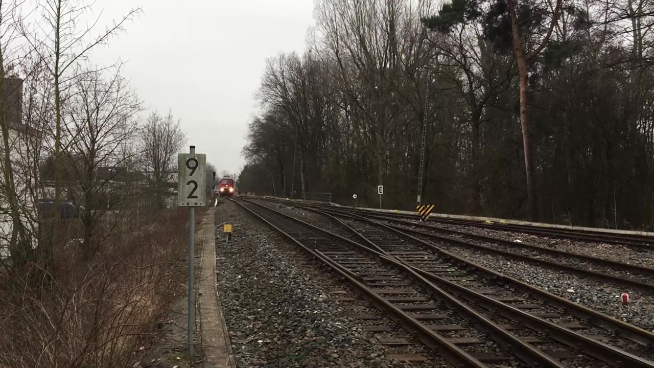 Erfurt Bahnservice 232 239-4 in timber traffic