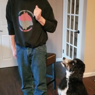 Roxy shaping the Heel cue.