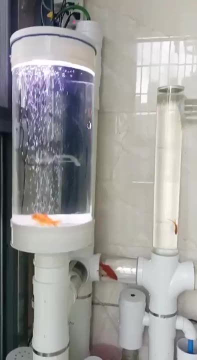 Clever Way to Build a Fish Tank #fishtank #fishtankideas #fishtankdesign #fishtanksetup