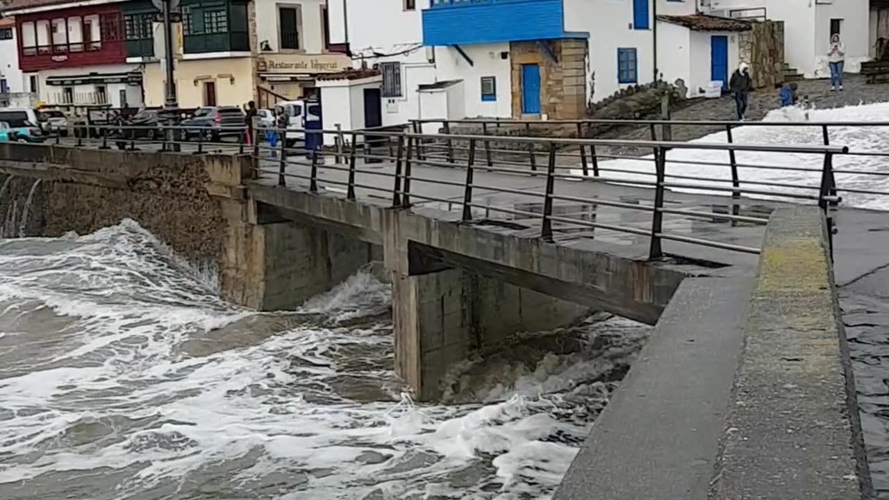 Family Observing Waves in a Storm Nearly Swept Away