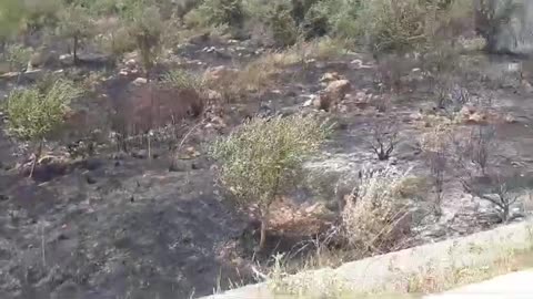Zjarr Sarande1