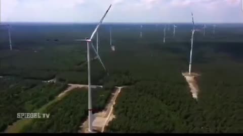 Zerstörung der Natur durch die grüne Politik