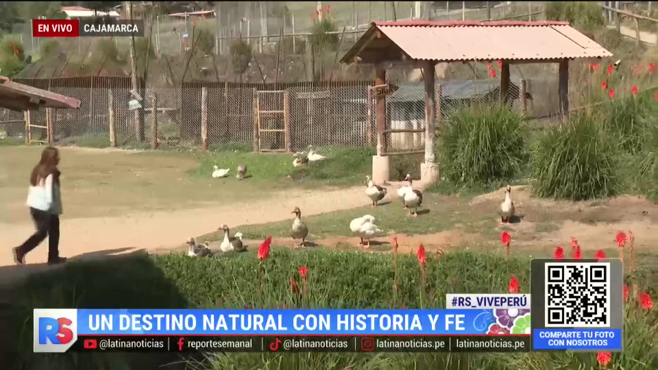 ¿La granja más grande de Perú está en Cajamarca? "Bosque de piedras que reúne historia y misticismo"