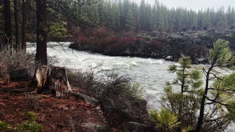 12 MINUTES OF SOOTHING SILENCE! | National Wild & Scenic Deschutes River | Central Oregon | 4K