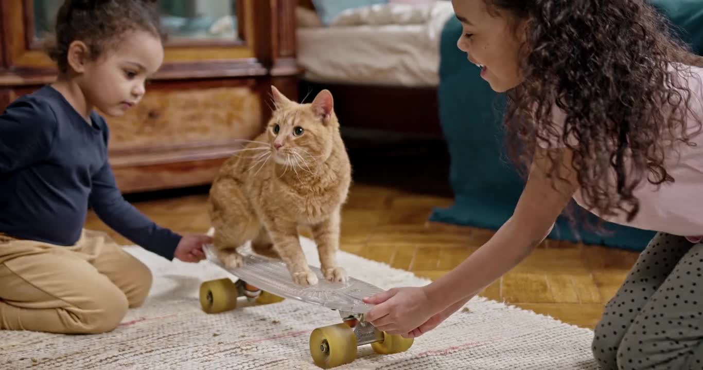 Kids playing with their cat.