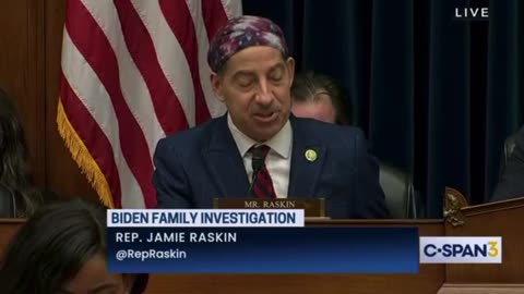 Jamie Raskin - IRS Agents form the Deep State - Did he Just Admit there is a Deep State?