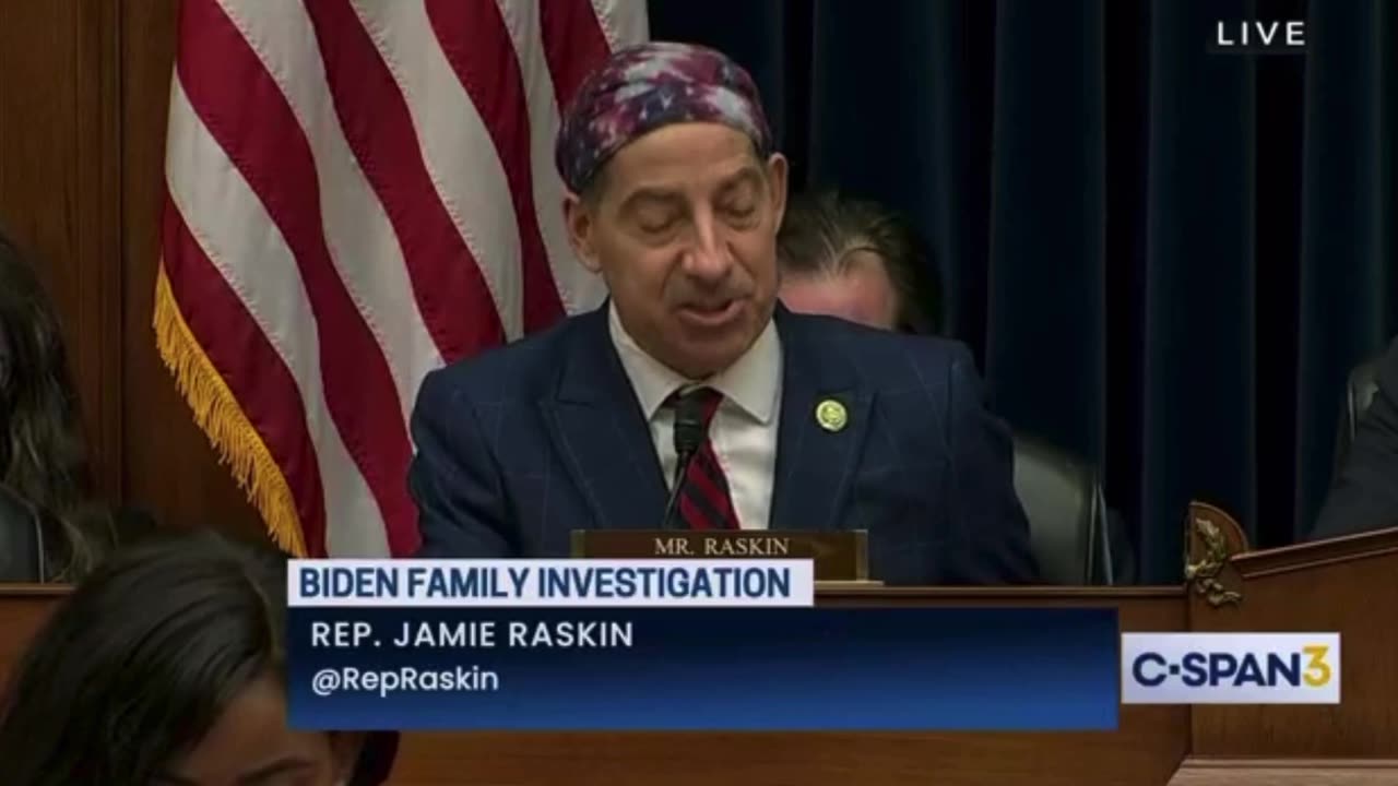 Jamie Raskin - IRS Agents form the Deep State - Did he Just Admit there is a Deep State?
