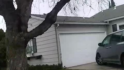 NEIGHBORS GARDENS AND LAWNS