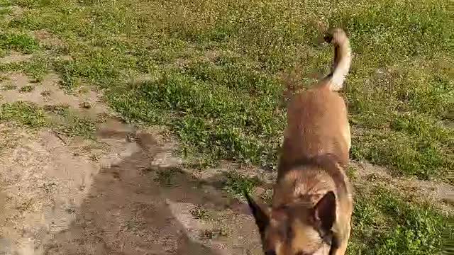 Работа с Малинуа