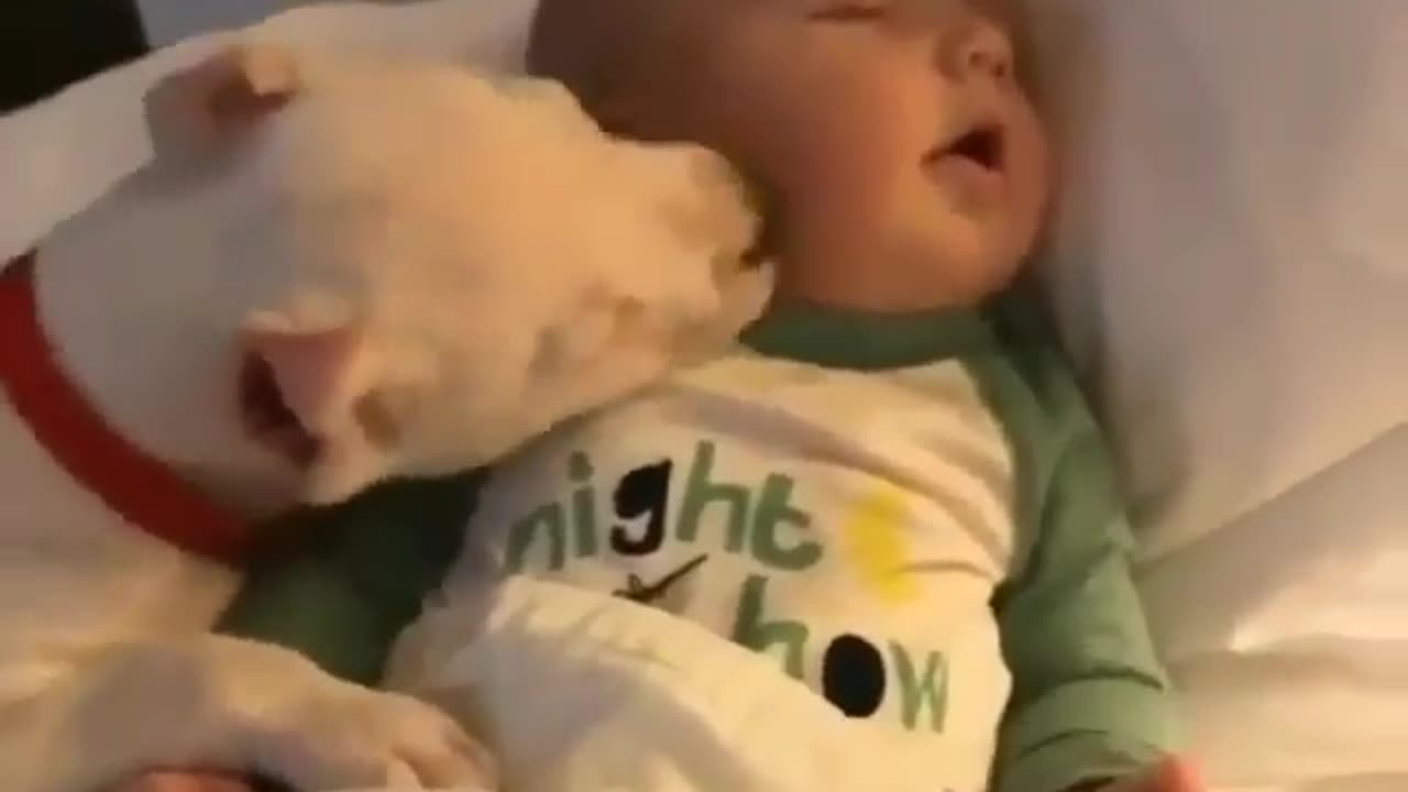 Playful Puppy Adorably Kisses Baby´s Face