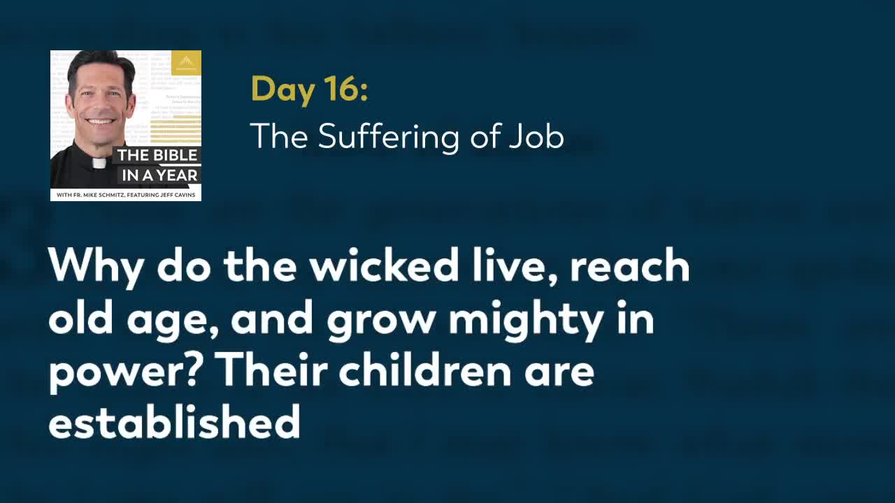 Day 16 The Suffering of Job — The Bible in a Year (with Fr. Mike Schmitz)