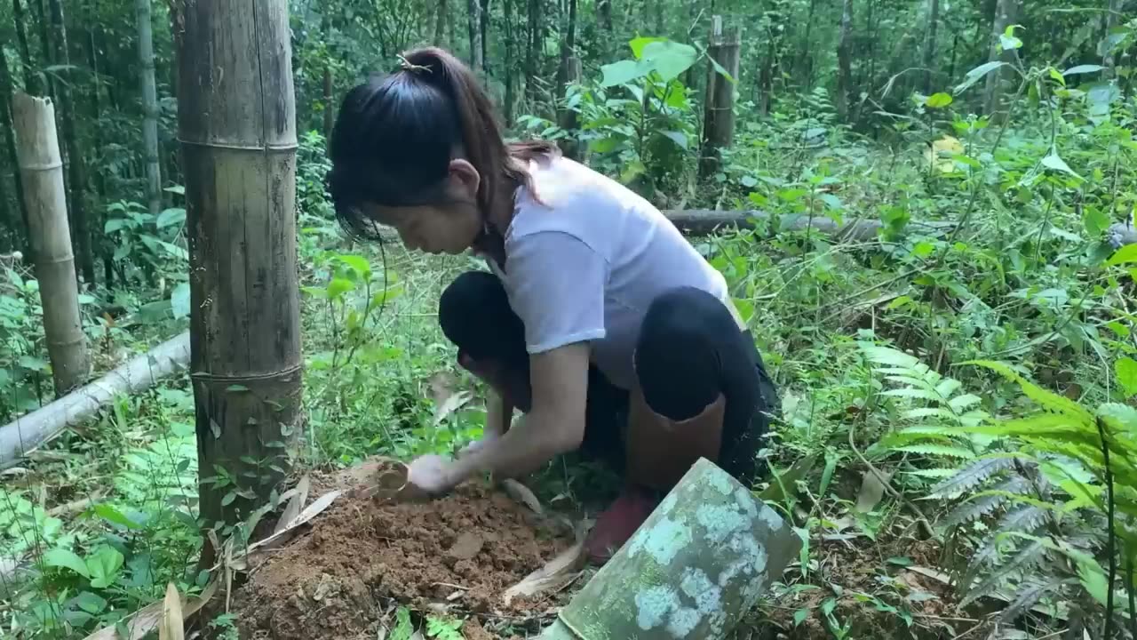 Full-video _ 30 days building shelter in bamboo forest - How to catch hares