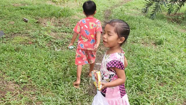 Kesasar di hutan rimba