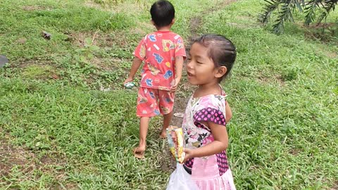 Kesasar di hutan rimba