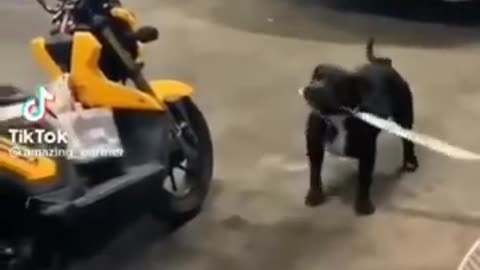 Cute and funny