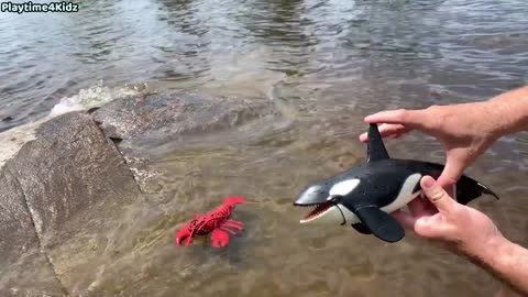 Sea animals toys this summer at the shore #sea #animals #summer #toys