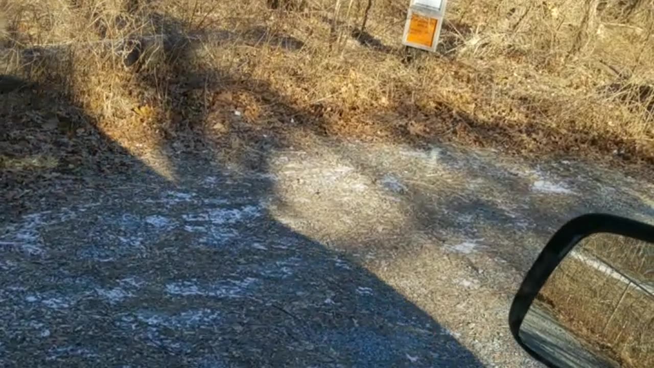 Arrival at Designated Hunting Area Rocky Point NYS.