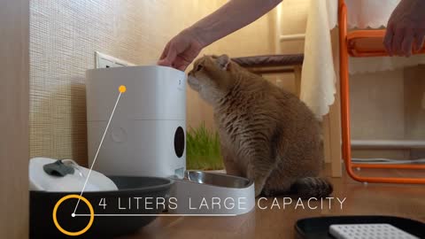 PETLIBRO Automatic Cat Feeder!